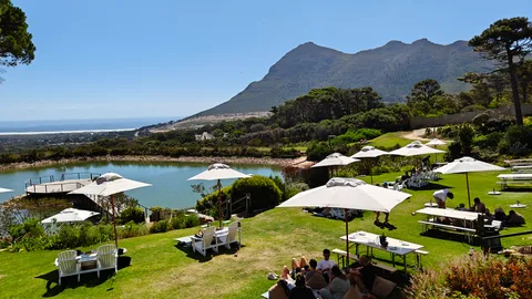 Cape Point Vineyards