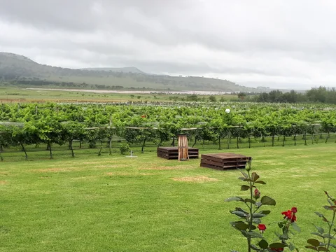 Cathedral Peak Wine Estate