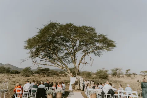 Bayala Private Safari Lodges