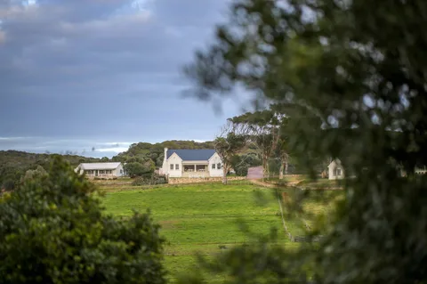 Kleinbergskloof Olive Estate
