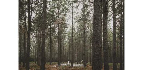 Misty Mountain Reserve