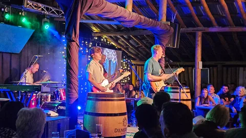 Bush Lapa Musiekfees