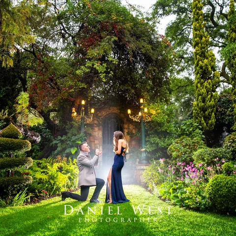 Shepstone Gardens