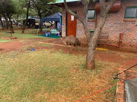 Mbizi Game Lodge & Spa