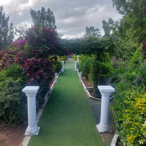 Nongoma Gardens