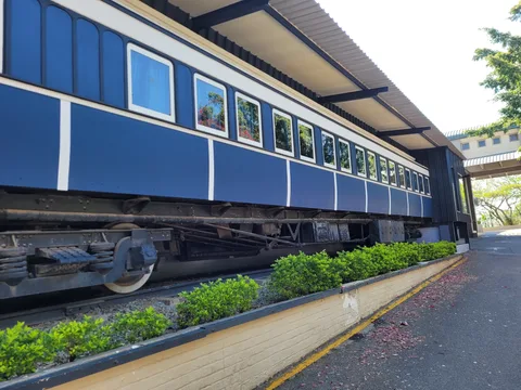 Orion – Safari Lodge
