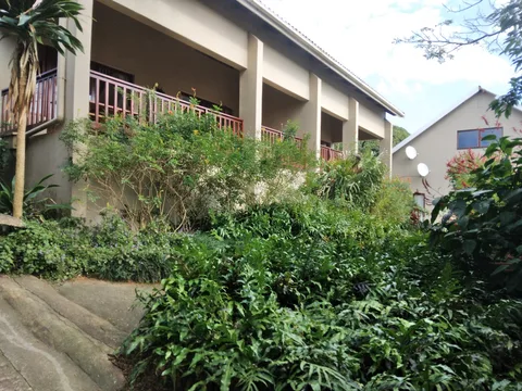 Honeywood forest lodge and spa