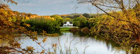Zevenwacht Wine Estate