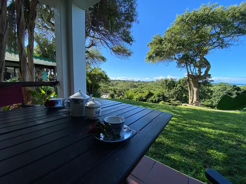 St.Lucia EcoLodge Guesthouse & Ecotours