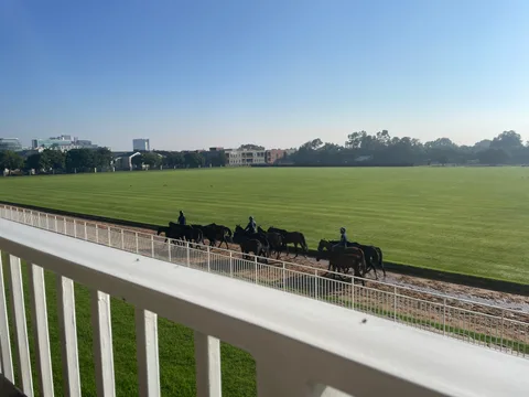 The Polo Room