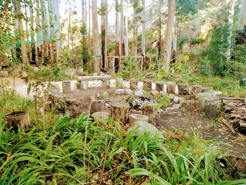 Leeukloof Lapa