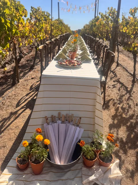Stellar Event Space