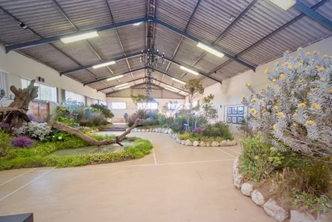 Hopefield Sports Club