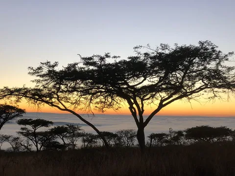 Ukuthula Lodge