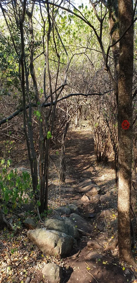 Die Bosveld Outdoor Lifestyle Venue