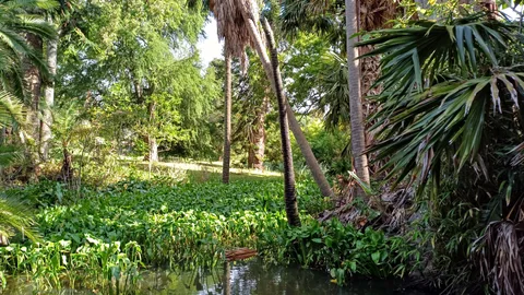 Botanical Gardens