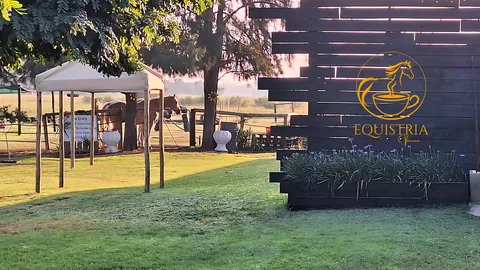 Equistria Functions and Weddings