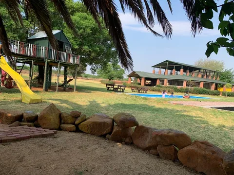 Pecan Palms