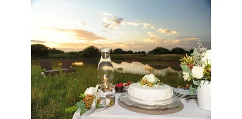 Shamwari Game Reserve