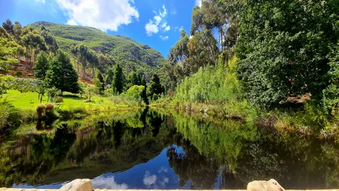 Elandskloof Farm