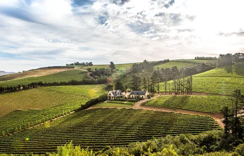Highberry Boutique Wedding Venue & Vineyard