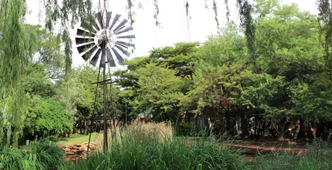 Ons Bosveld