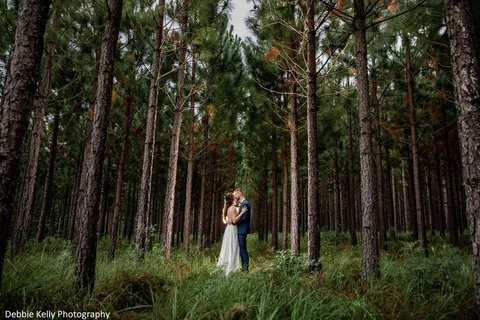 Knotwood Forest