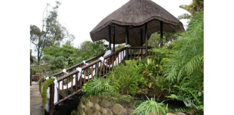 Thatchwoods