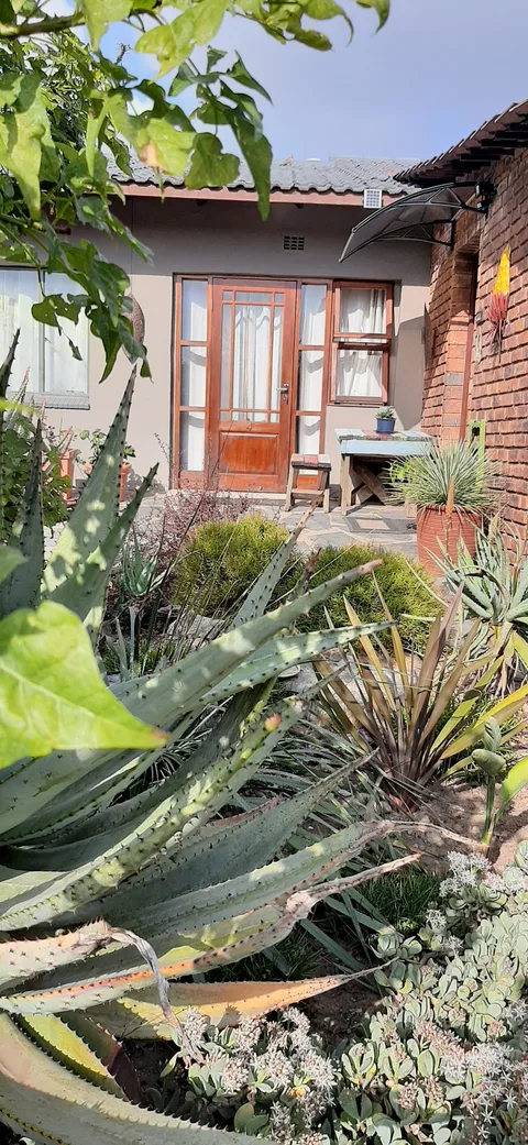 Aloe Ridge